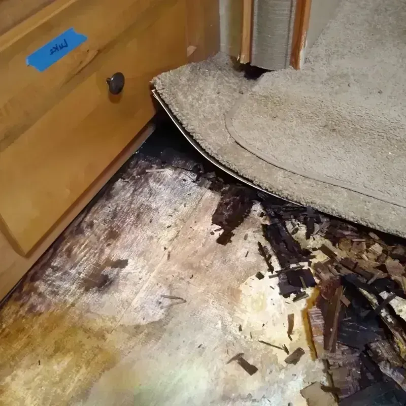 Wood Floor Water Damage in Bartonville, IL